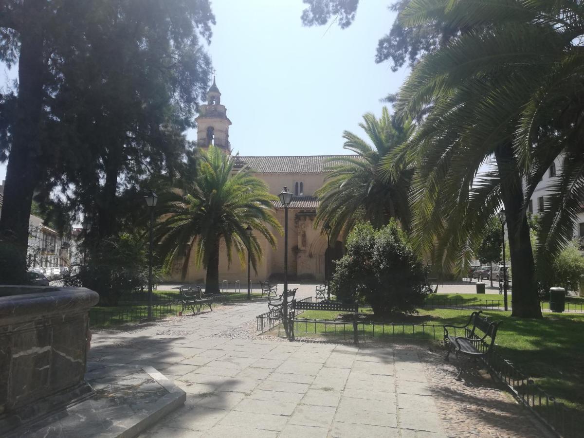 Loft La Magdalena * Córdoba